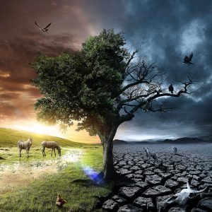 Make a Conscious Decision Between Life or Death