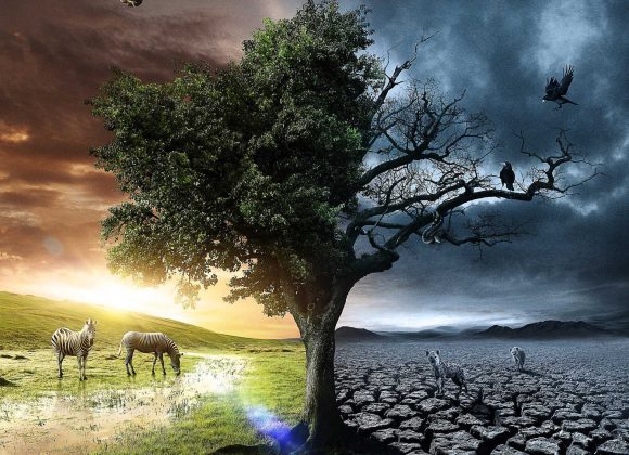 Make a Conscious Decision Between Life or Death